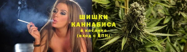 ECSTASY Богданович